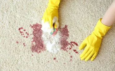 Hands in rubber gloves cleaning carpet with sponge and detergent Hands in rubber gloves cleaning carpet with sponge and detergent