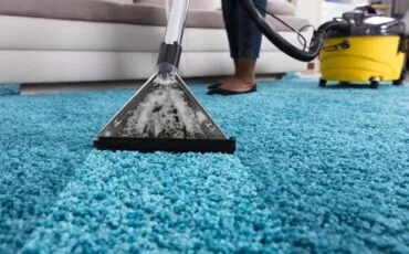imgi_47_person-using-vacuum-cleaner-cleaning-carpet_1016675-2735 imgi_47_person-using-vacuum-cleaner-cleaning-carpet_1016675-2735