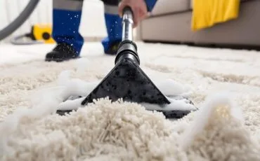 imgi_9_mop-is-carpet-with-mop-mop_1012937-1633 imgi_9_mop-is-carpet-with-mop-mop_1012937-1633